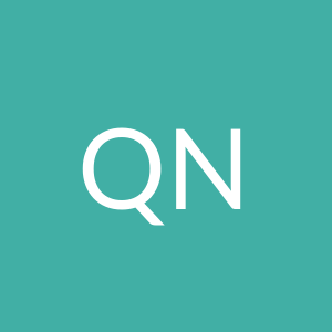 QondisaniNdlela's avatar